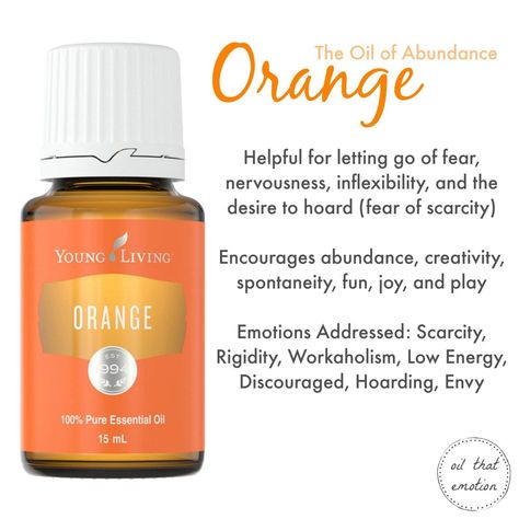 Orange Essential Oil Uses, Orange Essential Oil Young Living, Orange Essential Oil Benefits, Young Living Orange, Young Living Oils Recipes, Living Oils Recipes, Essential Oils 101, Young Living Essential Oils Recipes, Essential Oil Carrier Oils