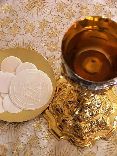 Eucharistic Adoration, Blood Of Christ, Christ The Redeemer, Catholic Priest, Religious Images, Roman Catholic Church, Eucharist, Catholic Art, First Holy Communion