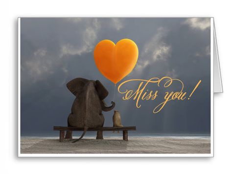 Elephant Quotes, Elephants Never Forget, I Will Love You, Birth Mother, Elephant Love, An Elephant, Cat Sitting, Love You Forever, In Loving Memory