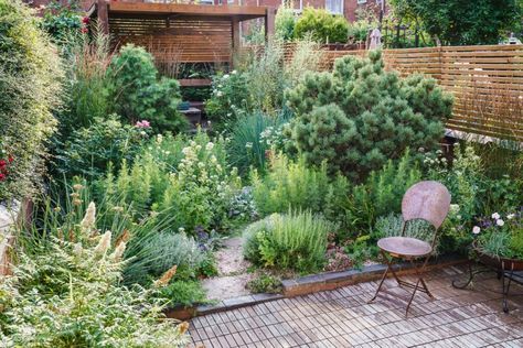 Mountain Garden, Home Garden Ideas, Small Urban Garden, Pocket Garden, Small Courtyard Gardens, London Garden, Inspire Me Home Decor, Contemporary Garden, Love Garden