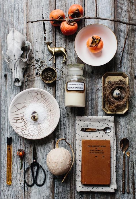 Things Organized Neatly, Party Deco, Vogue Living, Prop Styling, Mood Board Inspiration, Flat Lay Photography, The Design Files, Photo Styling, Still Life Photography