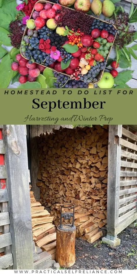 September Homestead To-Do List: Homestead Survival - What kind of homesteading chores are we up to in the fall? Our September homestead to-do list is all about preserving food from the garden and prepping for winter. There are so many fall homesteading projects that need doing. From chopping and stacking cords of wood, water bath and pressure canning meals in jars, herbal remedies recipes, long-term food storage tasks, making sure our homestead animals have what they need, and so much more. Fall Homesteading Projects, Easy Homestead Projects, Homestead Food Storage, Homesteading Kitchen Ideas, Homestead Survival Life Hacks, Homesteading For Beginners Small Spaces, Homesteading In Alaska, Colorado Homestead, Meals In Jars