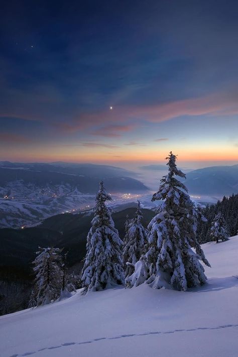 Winter Pines, Winter Sunsets, Snow Covered Mountains, Winter Mountain, Winter Magic, Winter Wallpaper, Winter Scenery, Winter Beauty, Snow Scenes