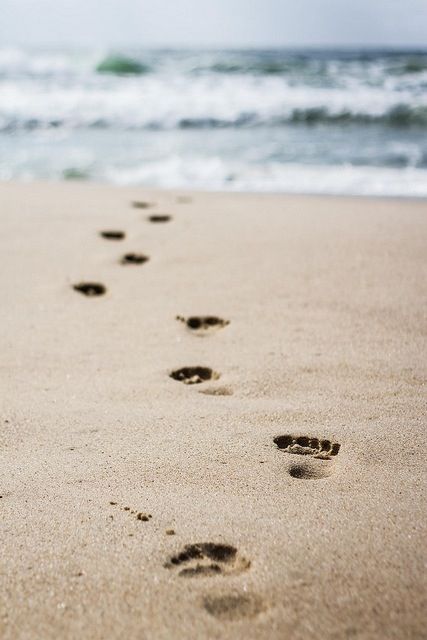 Footprints in the sand Deadwater Fell, Foot Prints In The Sand, Footprint In The Sand, Sand Photos, Beach Footprints, Footprints In Sand, Footsteps In The Sand, Footprints In The Sand, Morning Ritual