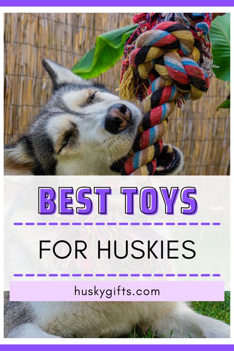 Best toys for huskies Husky Care, Husky Tail, Siberian Husky Training, Husky Training, Puppy Items, Dog Den, Husky Photos, Puppy Chew Toys, Tail Wagging