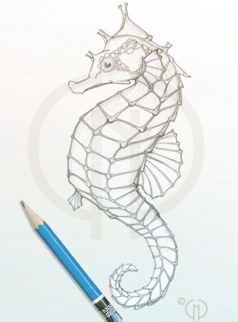 Realistic Seahorse Drawing Child Name Tattoo, Seahorse Sketch, Seahorse Drawing, Seahorse Painting, Seahorse Tattoo, Ocean Drawing, Seahorse Art, Underwater Art, Sea Horses