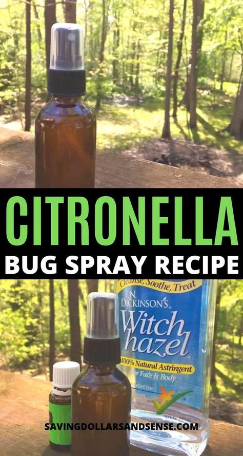 Bug Spray Essential Oils, How To Repel Flies, Repel Flies, Homemade Bug Repellent, Repellent Diy, Essential Oil Bug Spray, Diy Bug Repellent, Mosquito Repellent Homemade, Repel Mosquitos