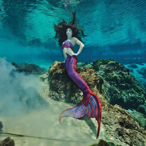 These 18 Magical Photos Of Florida's Live Mermaid City Will Leave You Speechless Mermaid City, Weeki Wachee Mermaids, Art Adventure Time, Real Life Mermaids, Realistic Mermaid, Art Vampire, Mermaid Photography, Silicone Mermaid Tails, Mermaid Man