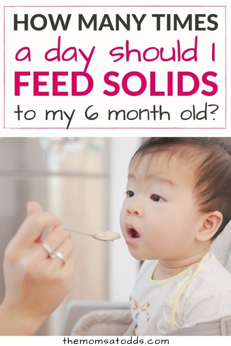 Six Month Feeding Schedule, What Should I Feed My 6 Month Old, 6 Month Old Schedule Food, What Can I Feed My 6 Month Old, Infant Feeding Schedule With Solids, 6 Month Old Schedule With Solids, Schedule For 6 Month Old Baby, Weaning Schedule 6 Months, Feed Schedule For 6 Month Old