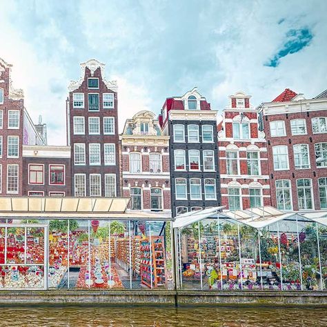 10 Things You Must Do in Amsterdam • The Blonde Abroad Bloemenmarkt Amsterdam, Anne Frank Museum, Amsterdam Flower Market, Amsterdam Winter, Amsterdam Trip, Amsterdam Shopping, Europe 2024, Dutch People, Scotland Trip