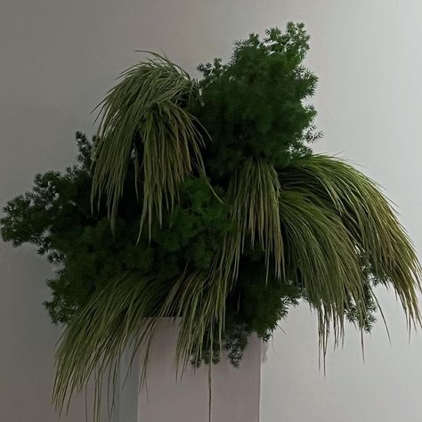 Green Flower Arrangements, Green Arrangements, Winter Floral Arrangements, Plant Installation, White Flower Arrangements, Greenery Arrangements, Florist Design, Grass Flower, Grass Wedding