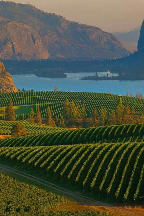 Columbia Country, Kelowna British Columbia, Okanagan Valley, O Canada, Western Canada, Country Side, Lake George, True North, Bc Canada