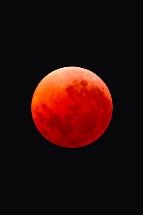 Red moon in Oregon Red Moon In Venus Kali Uchis Aesthetic, Red Moon In Venus Aesthetic, Red Moon Illustration, Red Moon In Venus Kali Uchis Wallpaper, Red Moon In Venus Kali Uchis, Red Moon Aesthetic, Rave Aesthetic, Mother Kali, Orange Moon