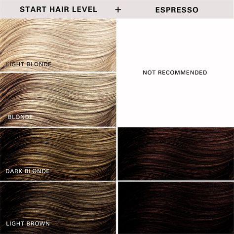 Keracolor Semi Permanent Hair Dye 3 in 1 Clenditioner, Espresso, 12 fl oz - Walmart.com Grey White Hair, Semi Permanent Hair Dye, Semi Permanent Hair Color, Permanent Hair Dye, Purple Shampoo, Dirty Blonde, Silver Lights, Permanent Hair Color, Red Hair Color