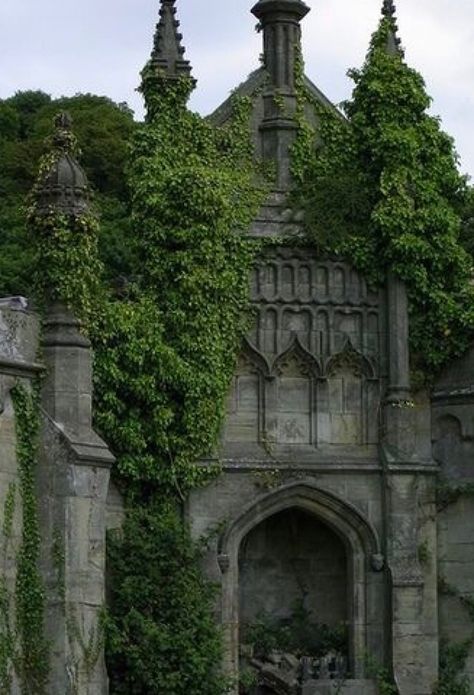 Dark Fairytale Aesthetic, Witchy Cottage, Architecture Photography Buildings, Gothic Culture, Colour Architecture, Hogwarts Aesthetic, Sacred Architecture, Castle Wall, Ancient Forest