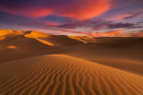 The Sahara Desert is the largest hot desert and one of the harshest environments in the world. Desert Biome, Art Environment, Video Backdrops, Desert Sahara, Deserts Of The World, Hot Desert, Desert Photography, Desert Tour, Wuxi