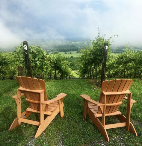 Travel To The Heart Of Virginia Wine Country And Enjoy The Stunning Views From Bluemont Vineyard Vineyard Aesthetic, Backyard Vineyard, Winery Ideas, Winery Design, Winery Event, Houses Exterior, Virginia Wine Country, California Vineyards, Napa Wineries