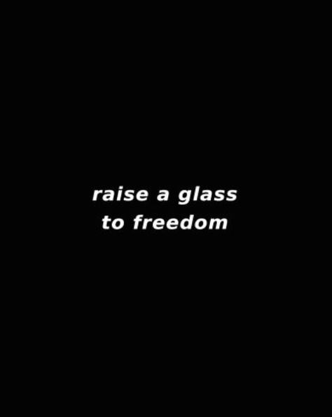 "Levante um copo para a liberdade." Pandaren Monk, These Broken Stars, Ella Enchanted, John Laurens, Oc Stuff, My Aesthetic, Aesthetic Boy, Sirius Black, High Fantasy