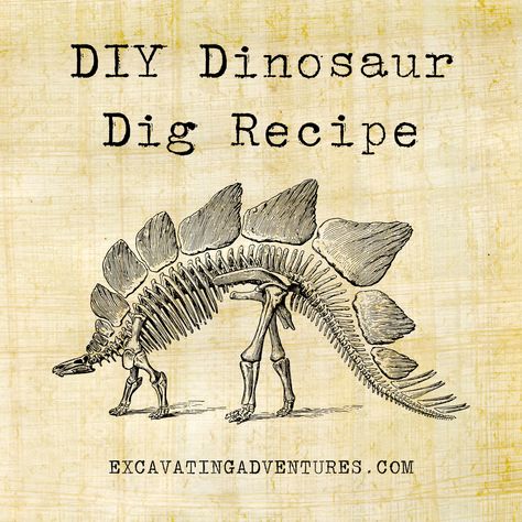 Are you ready for a prehistoric adventure? Do you have a little paleontologist in your life who loves learning about dinosaurs? This is the ultimate homemade paleontology kit that will provide hours of fun and learning for kids. With our step-by-step guide, you'll be able to create a thrilling dinosaur excavation project for kids right in your own backyard. Stegosaurus Illustration, Dinosaur Excavation, Dino Dig, Diy Dinosaur, Dinosaur Dig, Learning For Kids, Jurassic Period, Dinosaur Toys For Kids, All Dinosaurs