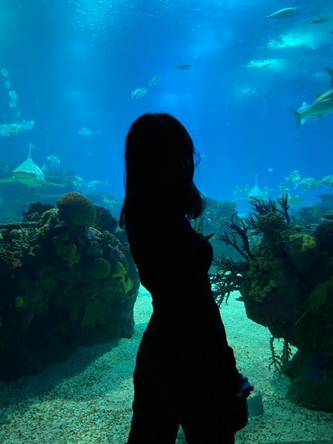 Shadow Girl Aesthetic, Lisbon Aquarium, Lisbon Oceanarium, Aesthetic Pretty, Pics Ideas, Slice Of Life, Aquariums, Lisbon, Photo Ideas