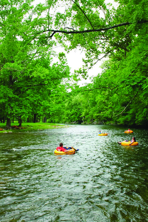 Travel | Tennessee | USA | Adventure | River Tubing | Rafting | Outdoor | Attractions Wilderness At The Smokies, Tennessee Aesthetic, Tennessee Waterfalls, Nifty 50, River Rat, Stunning Scenery, Tennessee Travel, Tennessee River, Tennessee Vacation