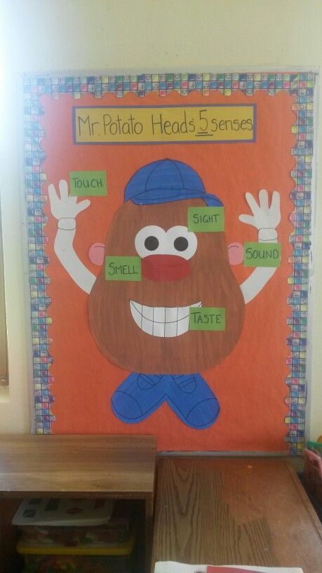 Senses Display Eyfs, 5 Senses Classroom Display, My Five Senses Bulletin Board, Five Senses Decoration Classroom, 5 Senses Bulletin Board Preschool, 5 Senses Decorations, Five Senses Bulletin Board Preschool, Senses Bulletin Board Ideas, 5 Senses Bulletin Board Ideas