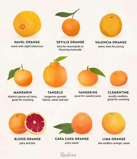 10 Types of Oranges for Juicing, Snacking and Everything in Between | Here are ten popular types of oranges to consider buying next time you’re at the grocery store or farmers market. (Oh, and just for the record, oranges can be kept at room temperature, though refrigerating them extends their shelf life—just be sure to let them come to room temperature after chilling so they regain their juiciness.) #purewow #fruit #food #snack #healthy #orange Types Of Oranges, Orange Food, Modern Farmer, Orange Cake Recipe, Navel Oranges, Valencia Orange, Juice Flavors, Orange Glaze, Food Snack