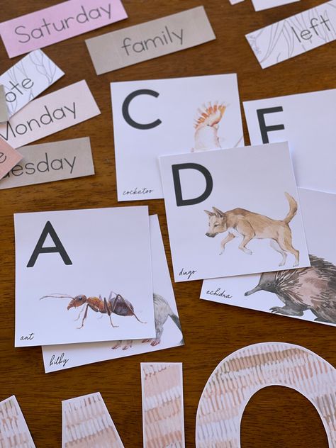 Classroom Needs, Sound Wall, Leaf Artwork, Word Wall Cards, Australian Bush, Australian Animals, Custom Fonts, Kindergarten Classroom, Word Wall