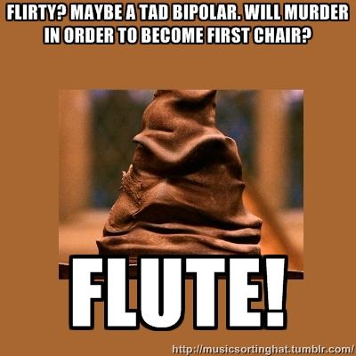 Random Band Jokes Flute Jokes, Flute Quotes, Band Puns, Funny Band, Marching Band Memes, Band Problems, Colour Guard, Marching Bands, Musician Humor