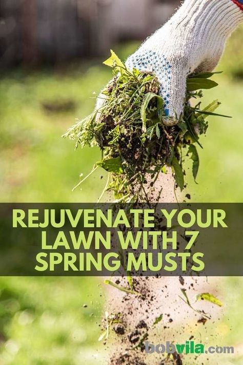 how to prepare your lawn for spring Care Tasks, Lawn Care Schedule, Organic Lawn Care, Lawn Mower Maintenance, Lawn Care Business Cards, Spring Lawn Care, Cinder Block Garden, Lawn Care Business, Diy Lawn