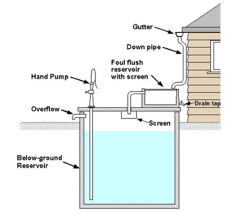 Greenhouse Design, Rainwater Collection, Water From Air, Water Harvesting, Rainwater Harvesting System, Cheap Living, Pub Set, Water Collection, Rainwater Harvesting