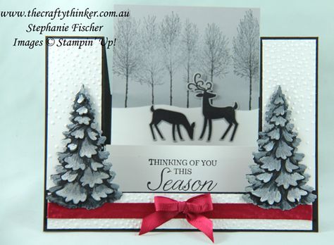 Center Step Cards, Side Step Card, Stepper Cards, Step Card, Silver Christmas Decorations, Winter Woods, Card Folds, Wood Card, Step Cards