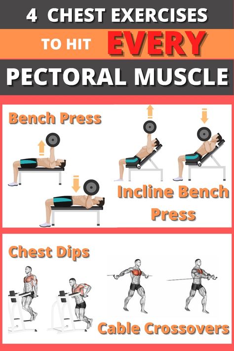 Exercises At The Gym, Gym Split, Grow Your Chest, Pectoral Exercises, Muscle Groups To Workout, Build Arm Muscle, Fitness Content, Weight Exercises, Softball Pitching