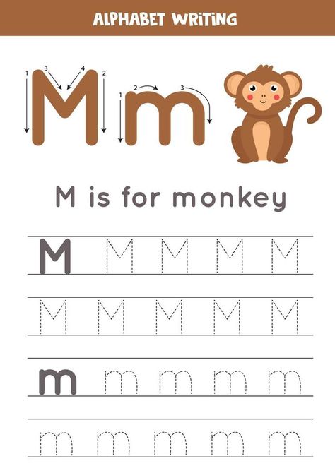 Tracing English alphabet. Letter M is for monkey. Monkey Worksheet, M Is For Monkey, English Alphabet Letters, Monkey Monkey, English Alphabet, Letter M, Preschool Worksheets, Lettering Alphabet, Vector Art