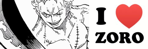 Zoro Header, Zoro Banner, One Piece Header, One Piece Banner, Pinterest Header, Koala One Piece, Dog Filter, Twitter Header Pictures, Cute Banners