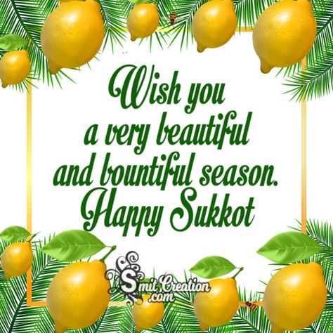 Visit site for more Sukkot Greetings Pictures Happy Sukkot Images, Happy Sukkot, Leviticus 23, September Holidays, Good Shabbos, Shavua Tov, Good Times Quotes, Feasts Of The Lord, Happy Feast