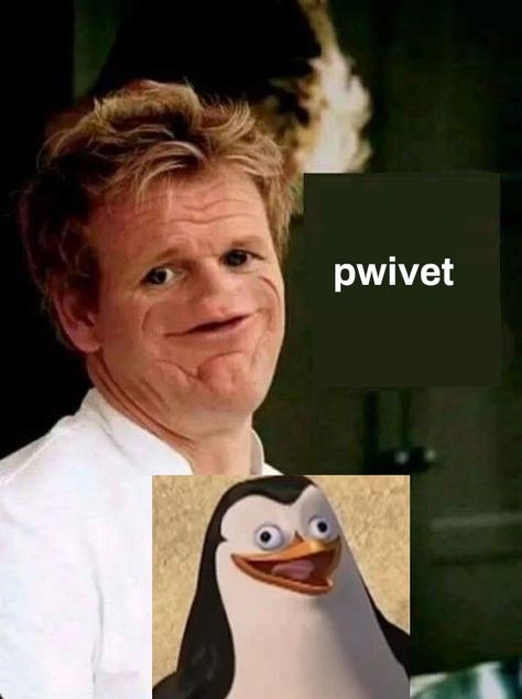 Gordan Ramsey Baby, Gordan Ramsey Meme, Gorden Ramsey, Gordon Ramsay Funny, Very Funny Memes, Dark Jokes, Crazy Funny Pictures, Funny Animal Quotes, Goofy Pictures