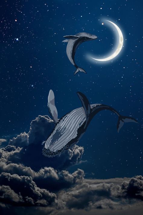 Sky Whale Drawing, Humpback Whale Aesthetic, Whales In The Sky Art, Whales In Space, Space Whale Wallpaper, Sky Whale Art, Humpback Whale Wallpaper, Whale In Sky, Whales In The Sky