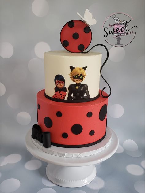 Miraculous Ladybug Birthday Cake, Miraculous Ladybug Birthday, Ladybug Birthday Cake, Miraculous Ladybug Party, Ladybug Cakes, Cake Land, Ladybug Cake, Rapunzel Birthday Party, 10 Birthday Cake