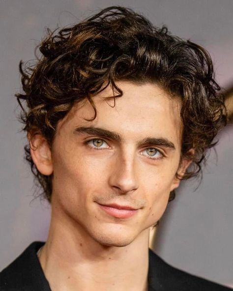 Men's Curly Hairstyles, Medium Curly, Medium Curly Hair Styles, Corte De Cabelo Masculino, Christopher Nolan, Meryl Streep, Curly Hair Men, Most Handsome Men, Timothee Chalamet