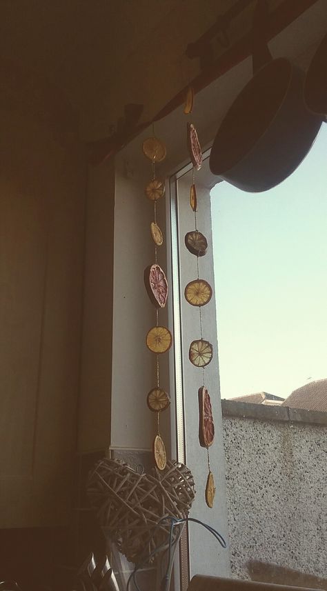 Dried fruit slices make great suncatchers/window decorations. Grapefruit, lime amd orange. Hanging Dried Orange Slices, Dried Orange Slices Decoration Window, Dried Oranges Window, Dry Fruit Decoration Ideas, Dried Fruit Decor, Dried Fruit Decorations, Orange Maximalist, Goblincore Decor, 70s Room