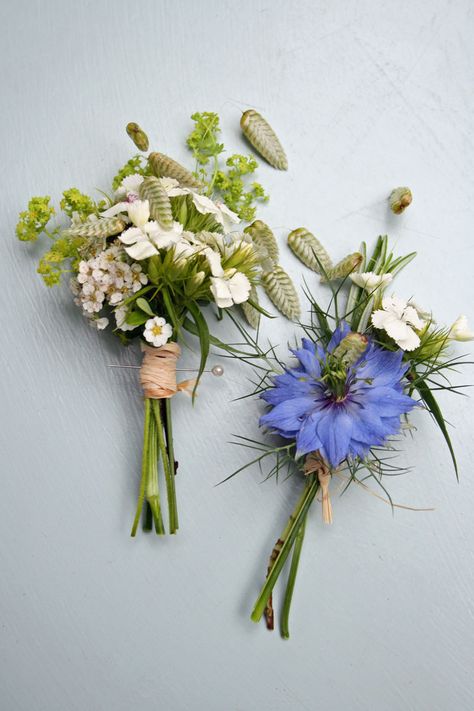 Buttonhole of Brizia, Nigella, Sweet William from Green & Gorgeous.. a touch of blue for the boys?? and the lovely soft mix for the ladies?? Button Holes Wedding, Sweet William, Flower School, Bouquet Ideas, Flower Corsage, Wedding Flower Inspiration, Button Holes, Button Hole, Seasonal Flowers