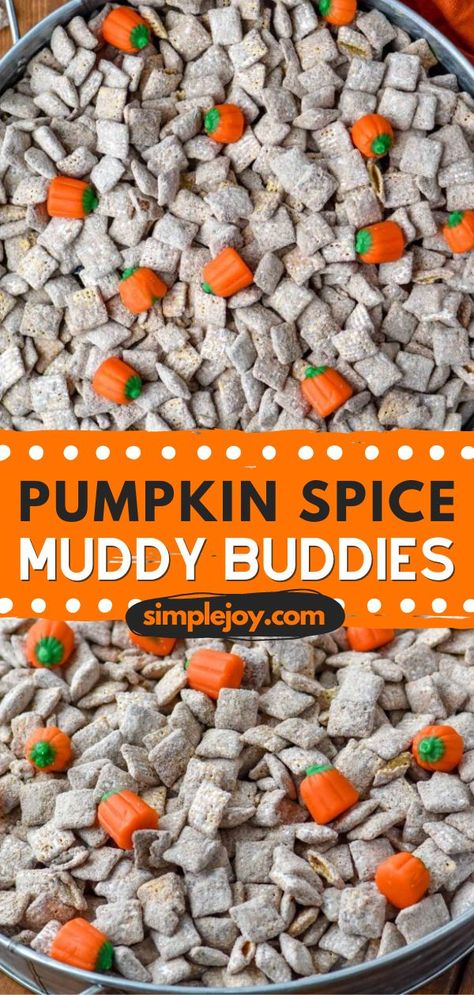 Serve only the best Thanksgiving sweet treat with these Chex pumpkin spice muddy buddies! Learn how to make muddy buddies and enjoy the perfect fall spin on Puppy Chow. Be sure to save this pin for a fun treat for later! Peanut Butter White Chocolate, Muddy Buddies Recipe, White Chocolate Covered, Puppy Chow Recipes, Fall Fun Food, Pumpkin Recipes Easy, Easy Autumn Recipes, Muddy Buddies, Pumpkin Chocolate Chip