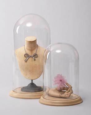 Retail Visual Merchandising, Cloche Decor, Vignette Styling, Cloche Domes, Jar Display, Short Glass, Display Props, Bird Theme, Glass Cloche