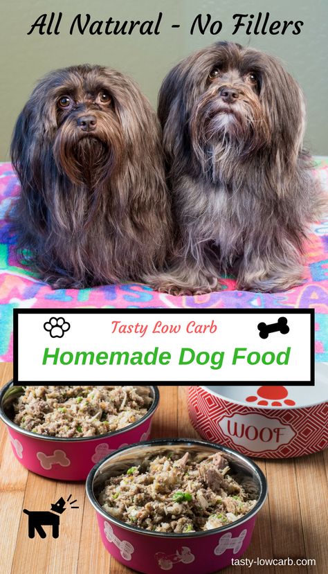 Healthy Homemade Dog Food - Nutrition Tested Healthy Homemade Dog Food, Food Myths, Make Dog Food, Havanese Dog, Food Dog, Healthy Dog Food Recipes, Healthy Dog Treat Recipes, Homemade Recipe, Dog Treat Recipes