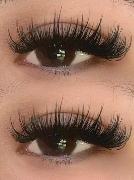 Emo Lash Extensions, Rzesy Kim Kardashian, Eyelash Extension Ideas, Wet Lash Extensions, Natural Fake Eyelashes, Best False Eyelashes, Lashes Fake Eyelashes, Eyelash Technician, Eyelash Extensions Styles