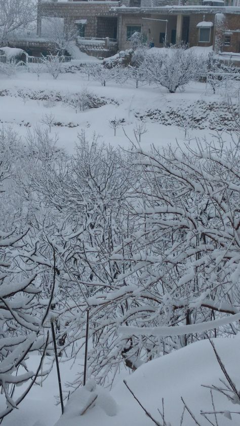 #Snow In #Lebanon Faraya Lebanon, Snow Video, Lebanon, Quick Saves