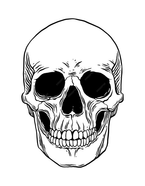 Skull Line Drawing Simple, Black And White Skull Drawing, Skull Simple Drawing, Skull Line Drawing, Skull Drawing Simple, Skull Vector Art, Skull Line Art, Human Skull Drawing, Skull Outline