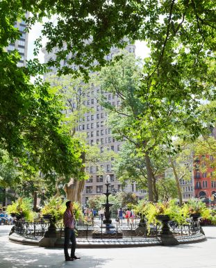 Video tour of the Flat Iron District with New York Habitat #architecture #shopping #food Habitat Architecture, Food Nyc, Nyc Attractions, Madison Square Park, City Video, Nyc Photos, Shopping Food, Voyage New York, Healthy Travel