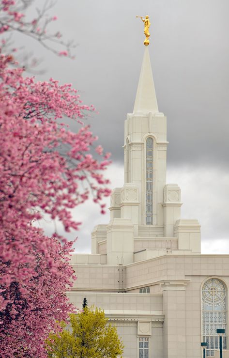 Timpanogos Temple, Draper Temple, Gilbert Temple, Bountiful Temple, Mount Timpanogos, Lds Pictures, Angel Moroni, Lds Temple Pictures, House Of The Lord